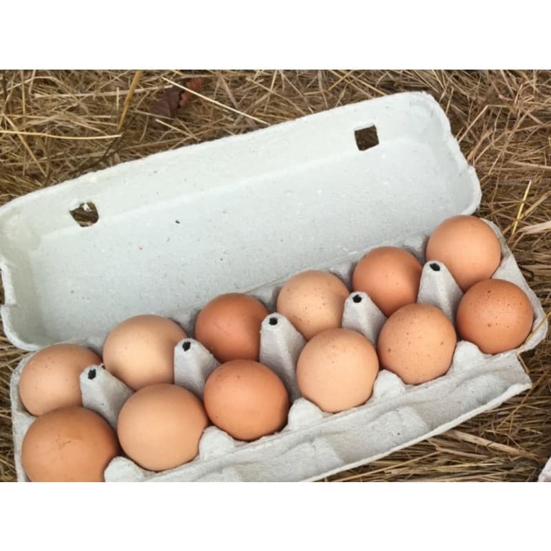 Œufs Frais (Plateau de 12)